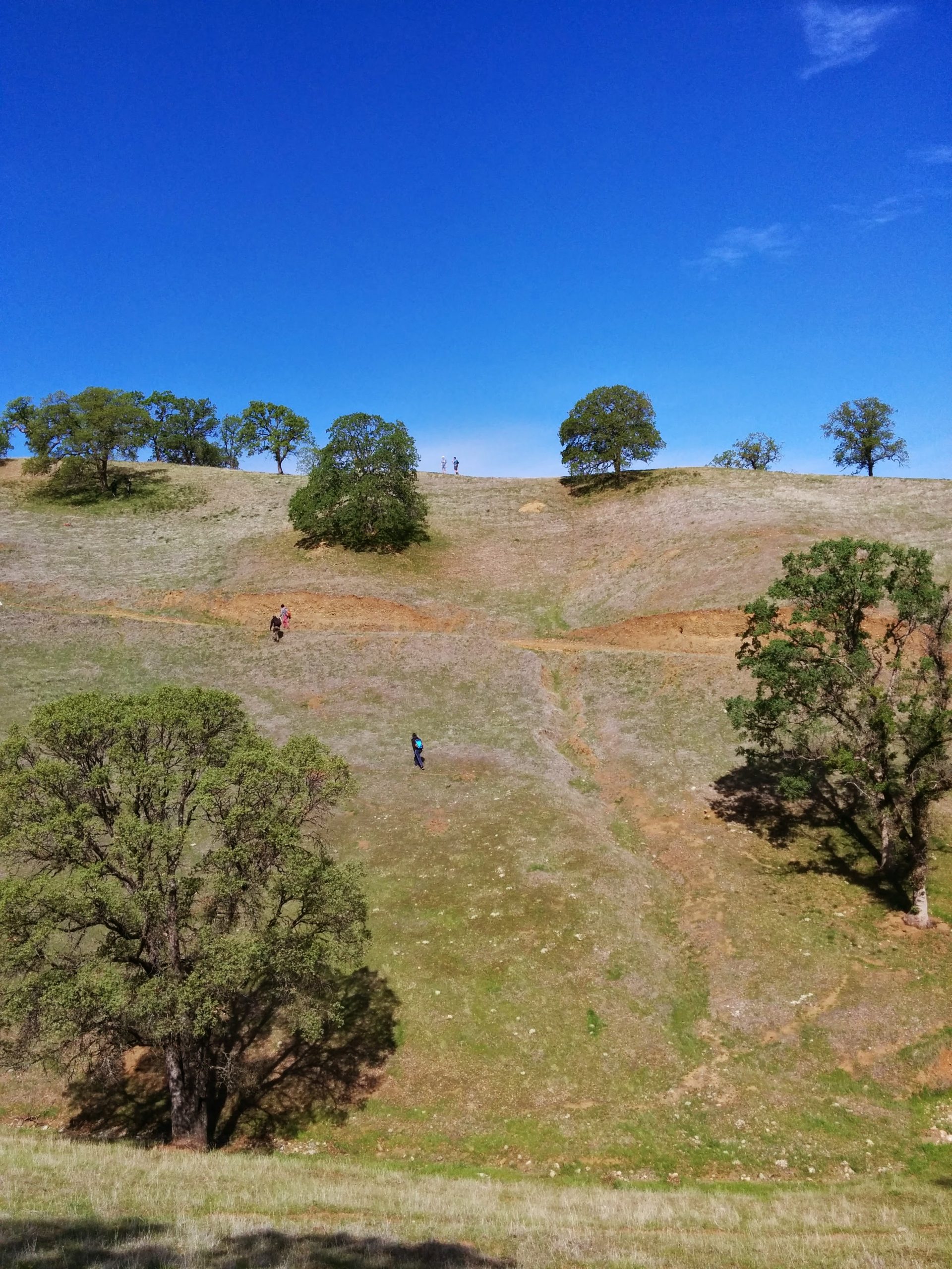 Category: <span>Uncategorized</span>